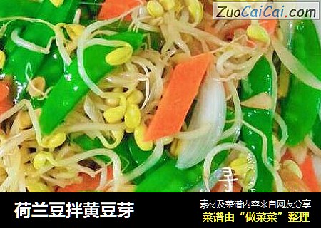 荷兰豆拌黄豆芽