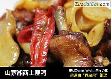 山寨湘西土匪鸭
