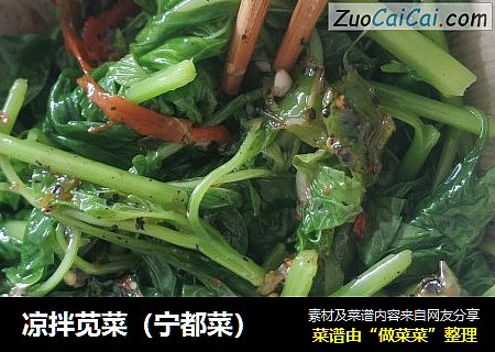 凉拌苋菜（宁都菜）