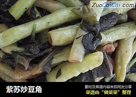 紫苏炒豆角