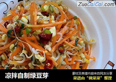 凉拌自制绿豆芽