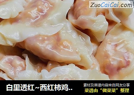 白里透红~西红柿鸡蛋水饺