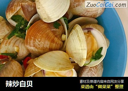 辣炒白贝