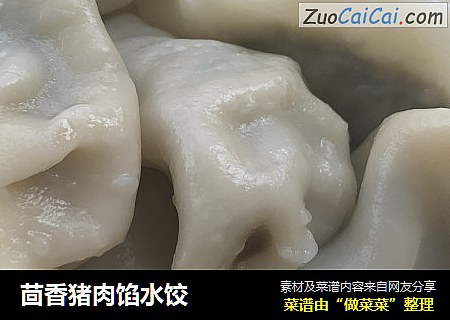 茴香猪肉馅水饺