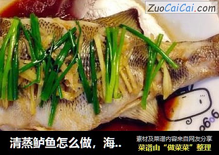 清蒸鲈鱼怎么做，海鲈鱼清蒸做法