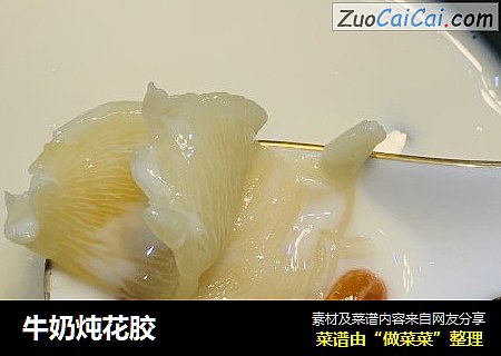 牛奶炖花胶