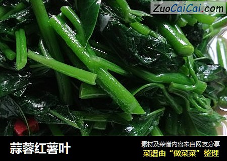 蒜蓉红薯叶