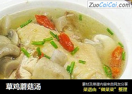 草鸡蘑菇汤