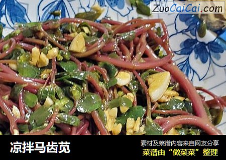 凉拌马齿苋