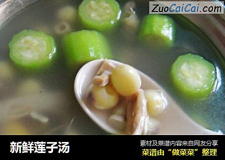新鲜莲子汤