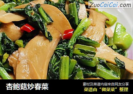 杏鲍菇炒春菜