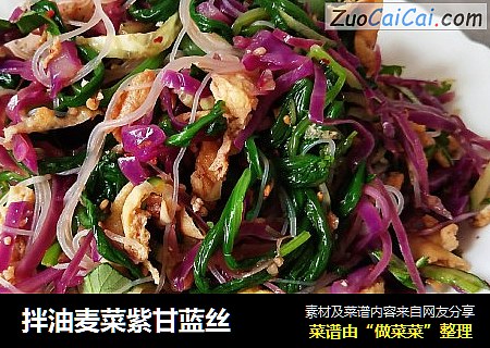 拌油麦菜紫甘蓝丝