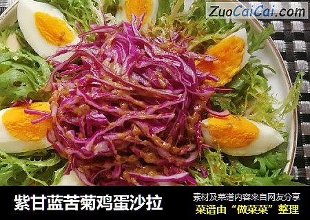 紫甘蓝苦菊鸡蛋沙拉