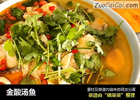 金酸汤鱼