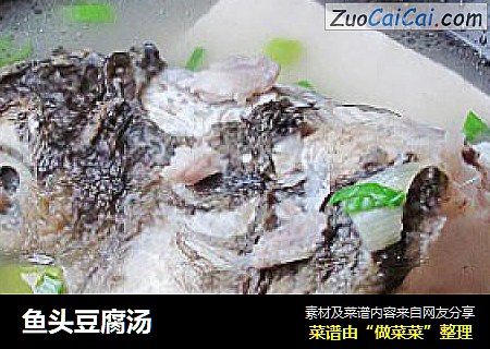 鱼头豆腐汤