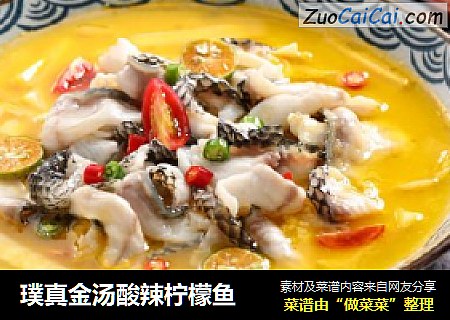 璞真金汤酸辣柠檬鱼