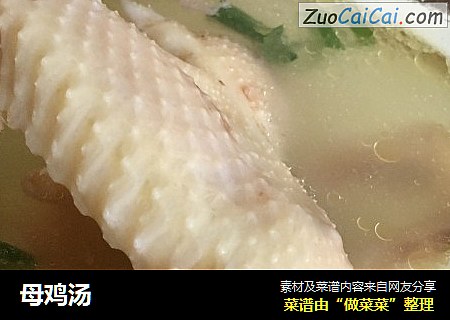 母鸡汤