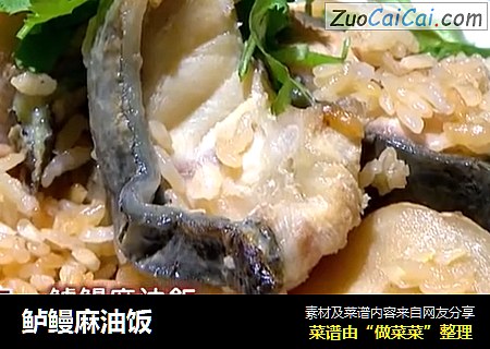 鲈鳗麻油饭