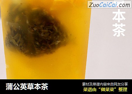 蒲公英草本茶