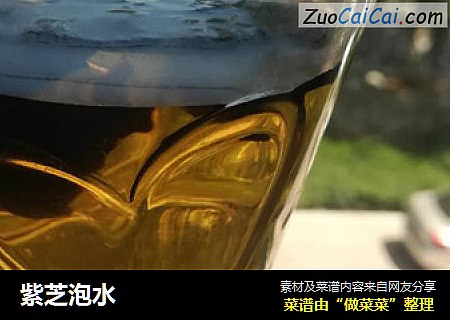 紫芝泡水
