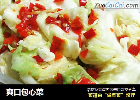 爽口包心菜