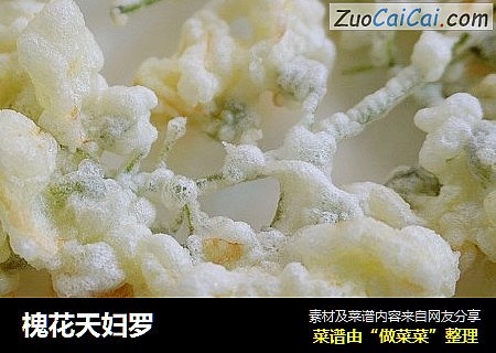 槐花天妇罗