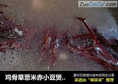 鸡骨草薏米赤小豆煲鸡汤