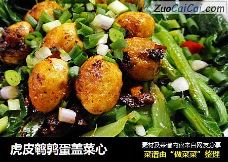 虎皮鹌鹑蛋盖菜心