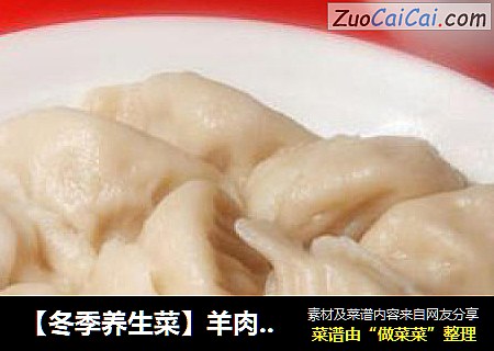【冬季养生菜】羊肉水饺