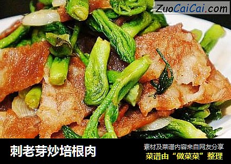 刺老芽炒培根肉