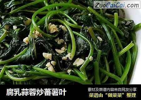 腐乳蒜蓉炒蕃薯叶