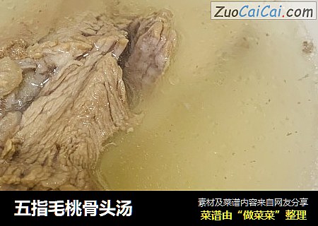 五指毛桃骨头汤