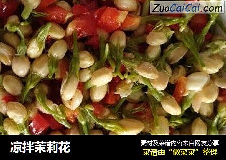 凉拌茉莉花