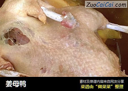 姜母鸭