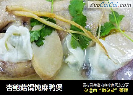 杏鲍菇馄饨麻鸭煲