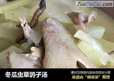 冬瓜虫草鸽子汤