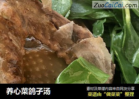 养心菜鸽子汤