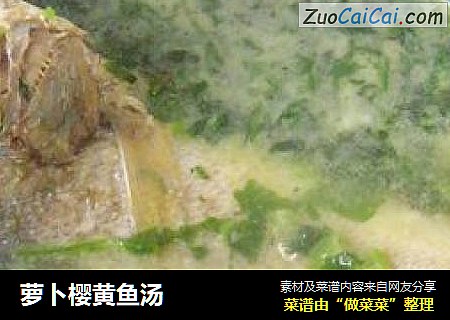 萝卜樱黄鱼汤