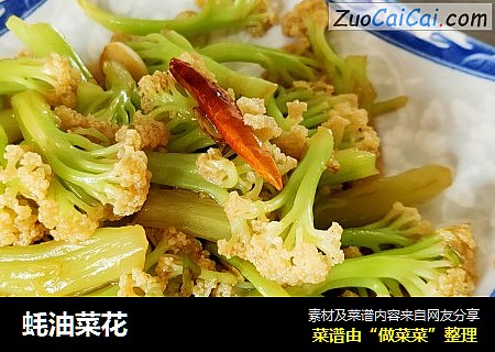 蚝油菜花