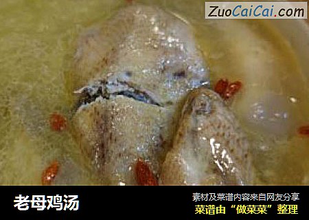 老母鸡汤