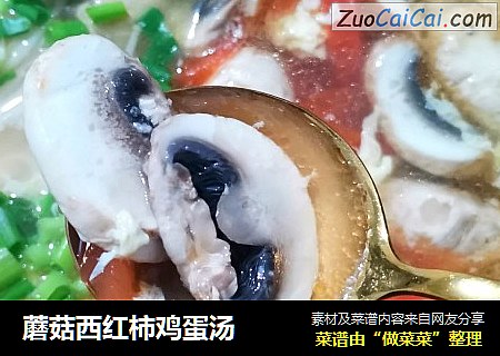 蘑菇西红柿鸡蛋汤