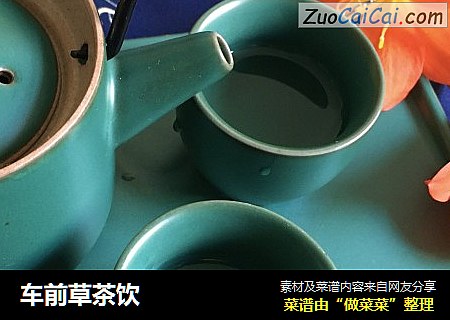 车前草茶饮