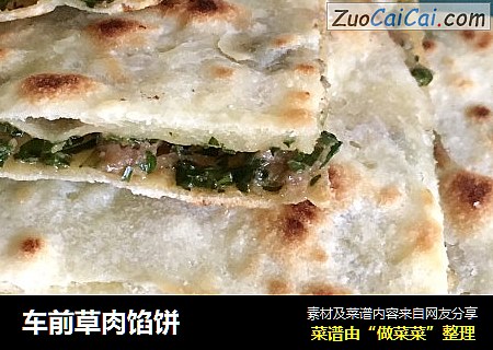 车前草肉馅饼