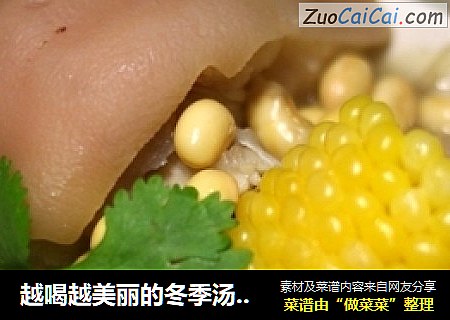 越喝越美丽的冬季汤煲----黄豆玉米蹄髈汤