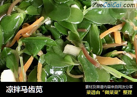 凉拌马齿苋