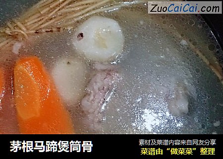 茅根马蹄煲筒骨