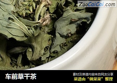 车前草干茶