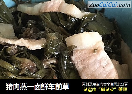 猪肉蒸一卤鲜车前草