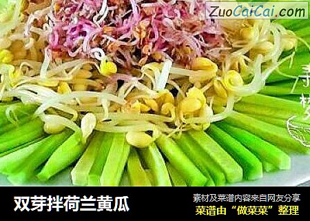 双芽拌荷兰黄瓜