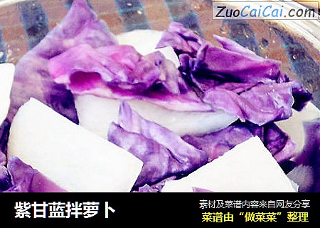 紫甘蓝拌萝卜